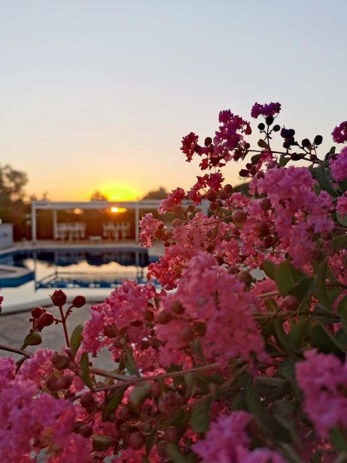 Peperosa B&B And Events Nettuno Kültér fotó